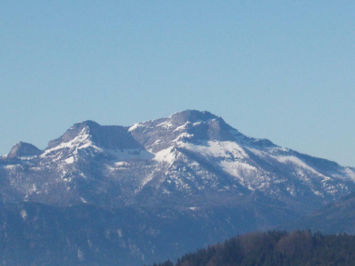 ワイレック Bauernhof Moadlヴィラ エクステリア 写真