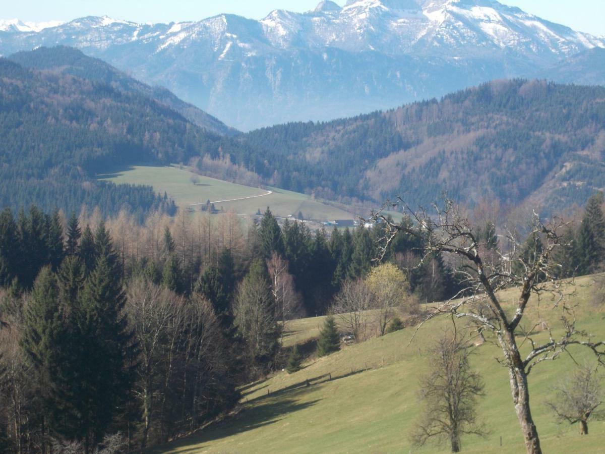 ワイレック Bauernhof Moadlヴィラ エクステリア 写真